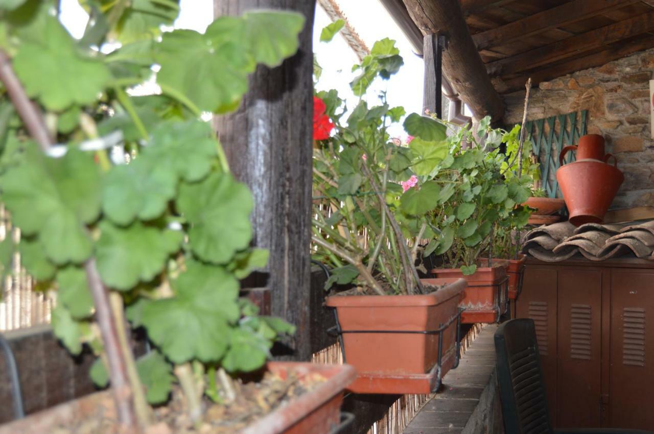 Apimonte Casa Do Pascoal - Pn Montesinho Villa Bragança Eksteriør billede