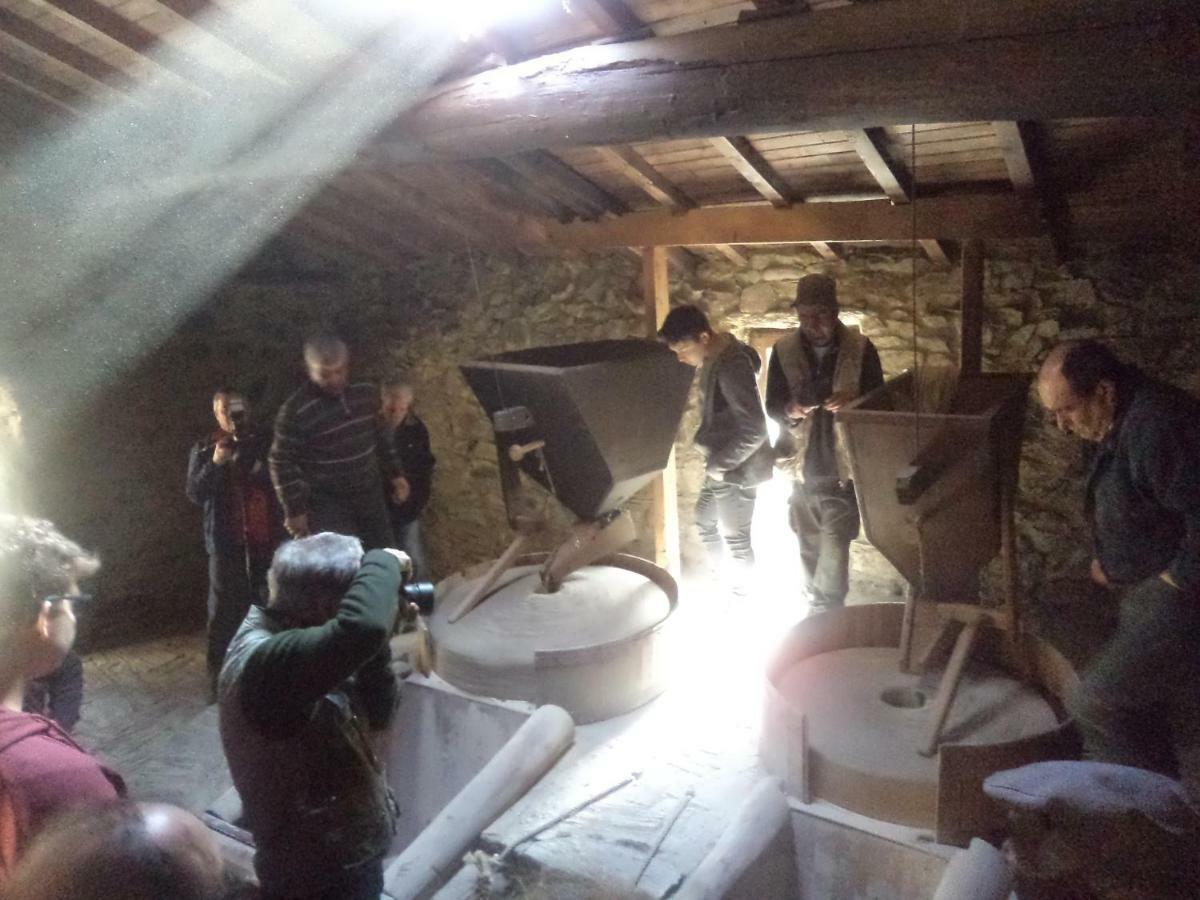 Apimonte Casa Do Pascoal - Pn Montesinho Villa Bragança Eksteriør billede